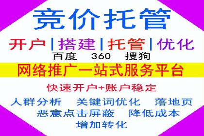 百度竞价公司运营策略：成功案例解析